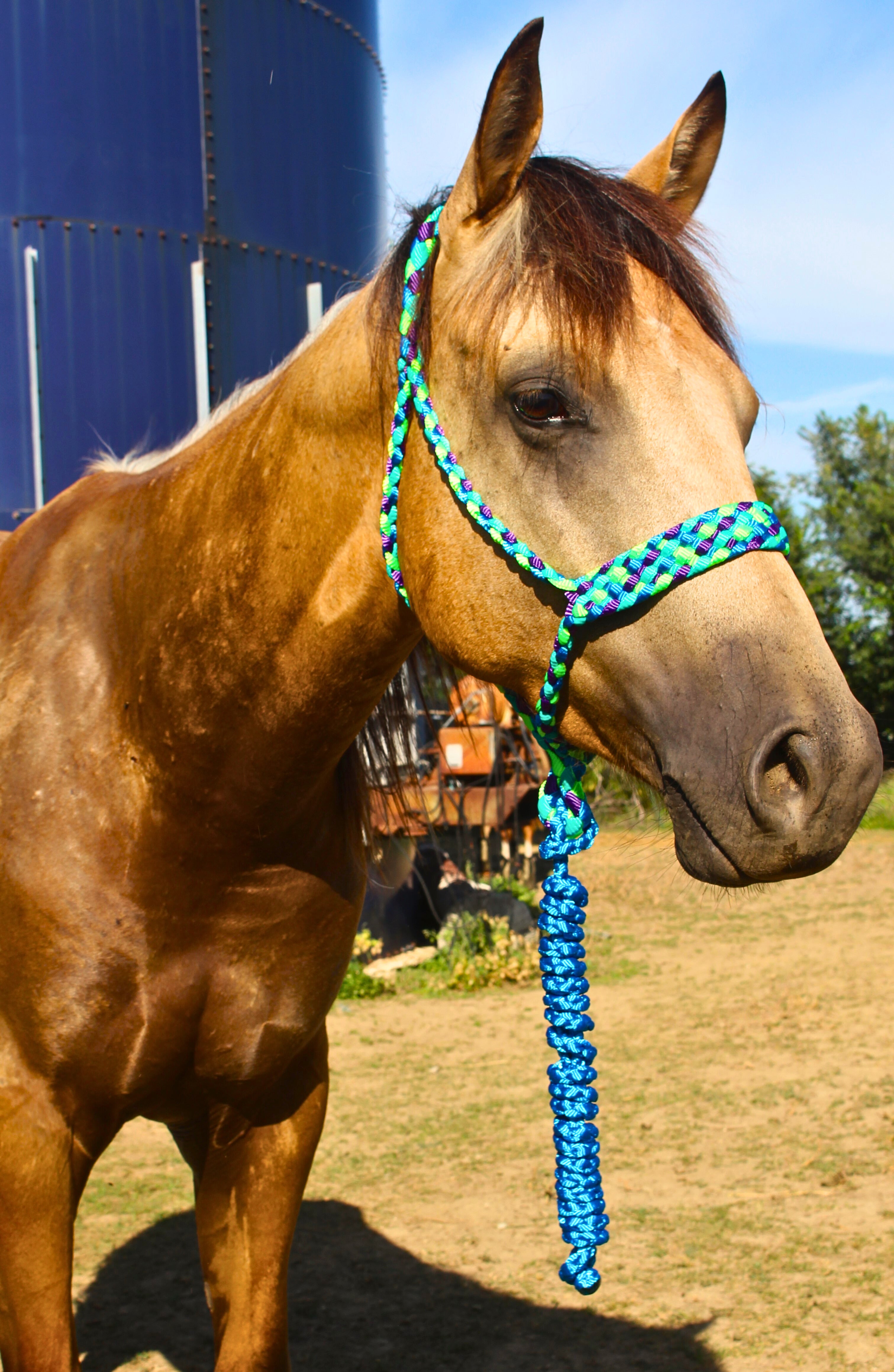 Custom Regular Halter