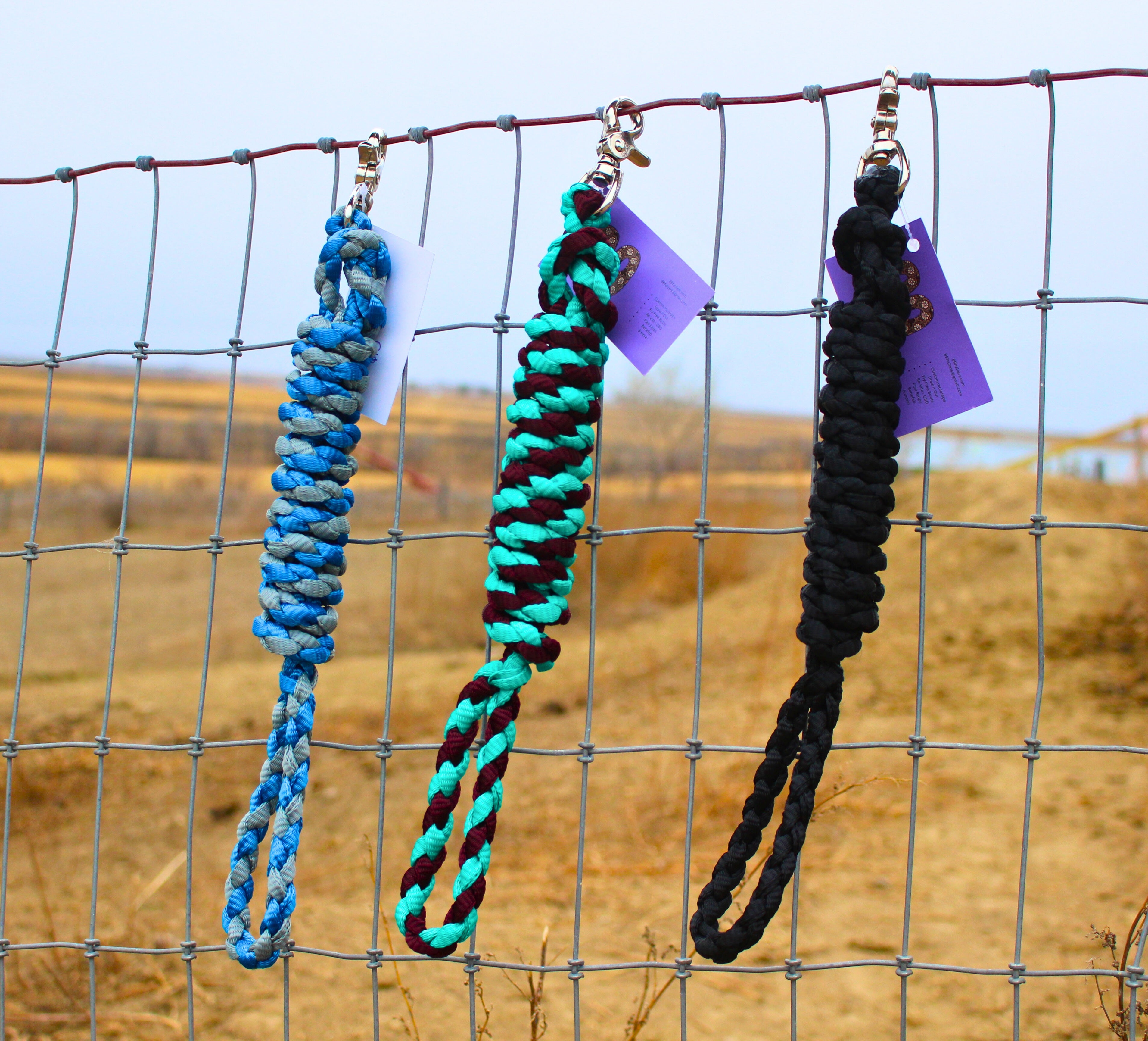 Dog leashes - in stock!