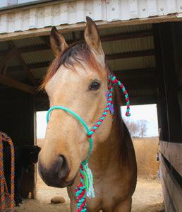 Custom Rope Nose Halter